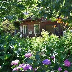  Bed & Breakfast Il Torchio Italy